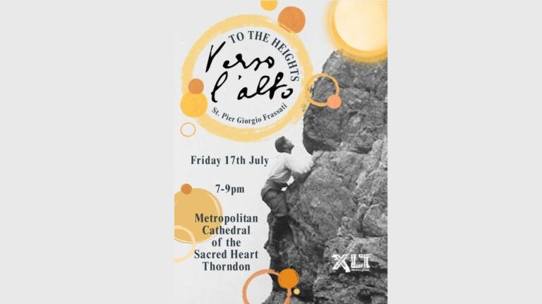 XLT returns