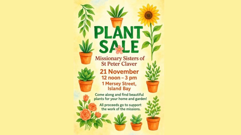 Missionary Sisters of St Peter Claver plant sale